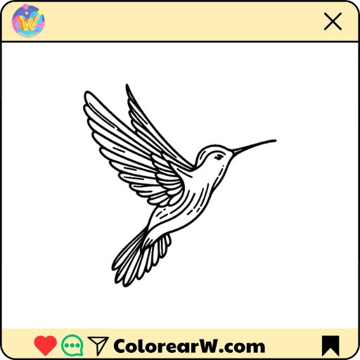 Colibrí para colorear thumbnail