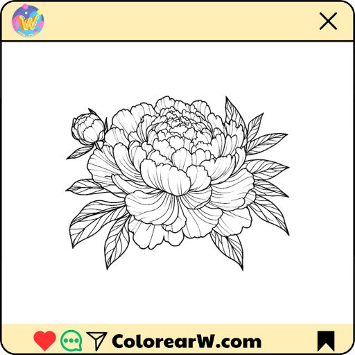 Peonía para colorear thumbnail