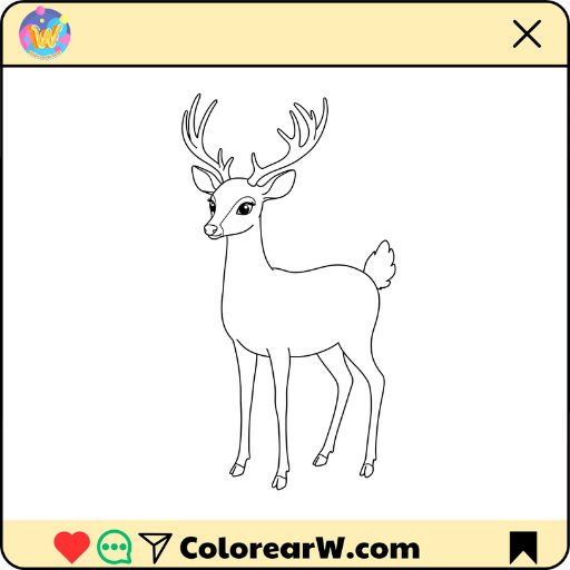 Venado para colorear thumbnail