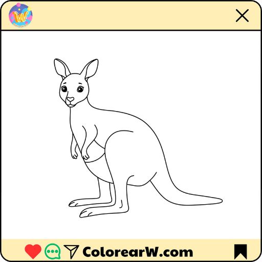Canguro para colorear thumbnail