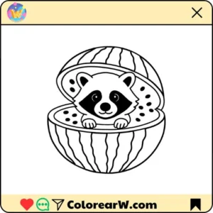 Raccooni Watermelunni