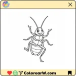 Cucaracha thumbnail