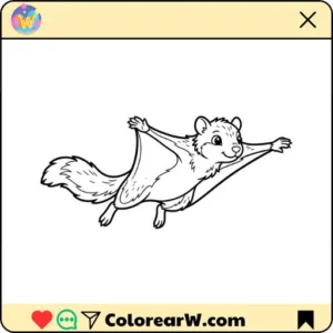 Ardilla Voladora para colorear thumbnail
