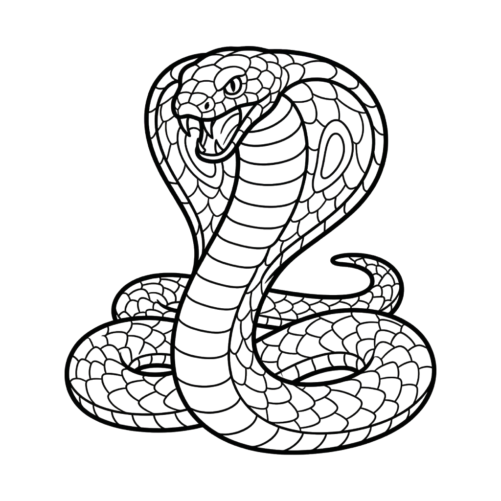 Cobra 16 páginas para colorear gratis Cobra para niños 1