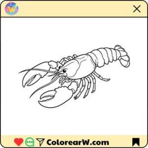 Langosta 49 Langosta para colorear thumbnail