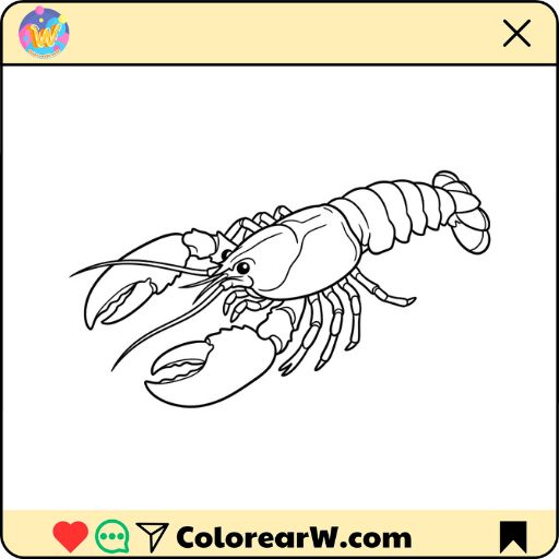 Langosta para colorear thumbnail