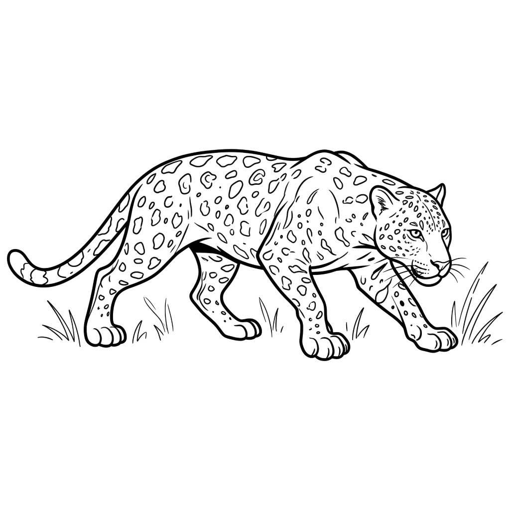 Leopardo páginas para colorear imprimibles