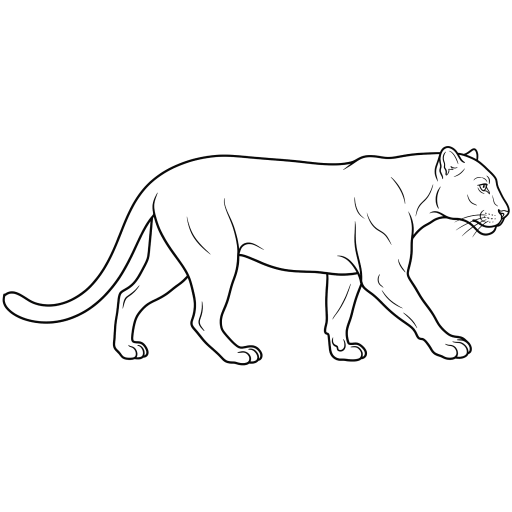 Leopardo páginas para colorear de adornos