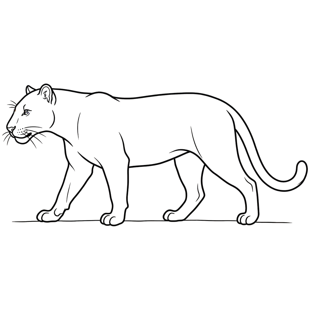 Leopardo páginas para colorear para adultos