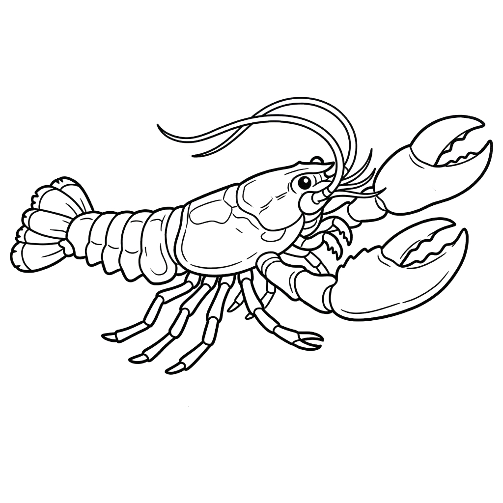 páginas para colorear imprimibles Lobster