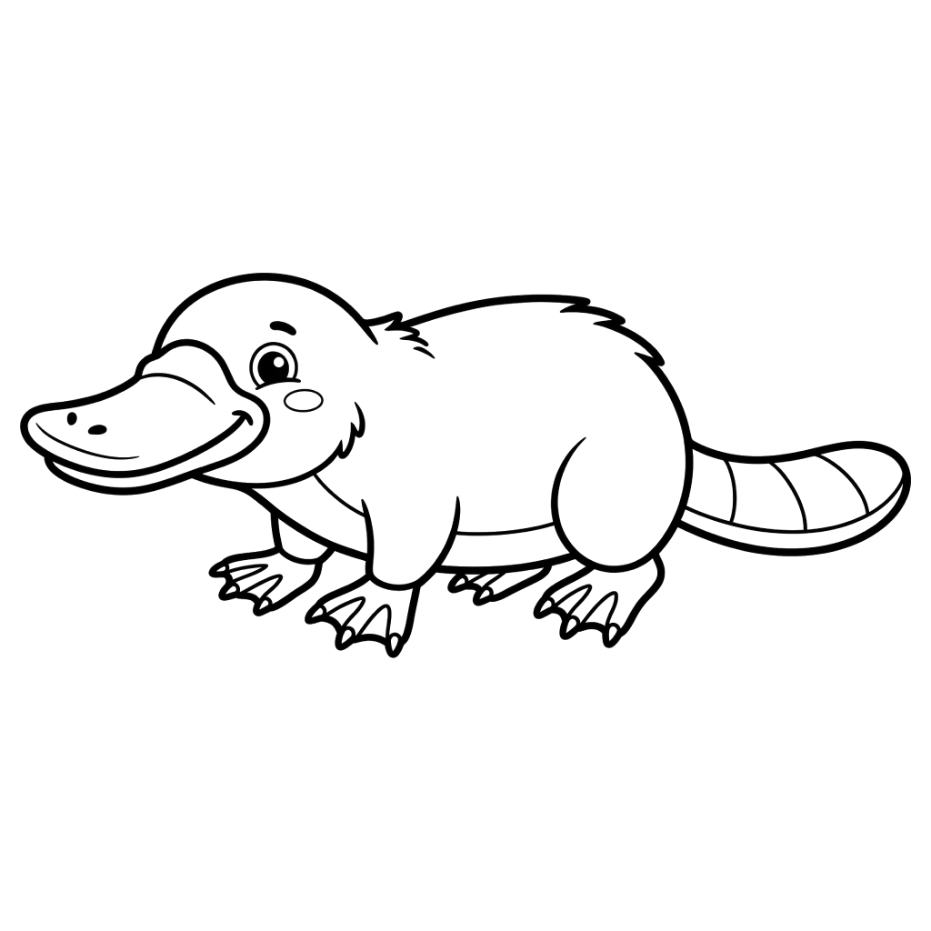 Ornitorrinco páginas para colorear para adultos pdf 1