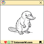 Ornitorrincos thumbnail