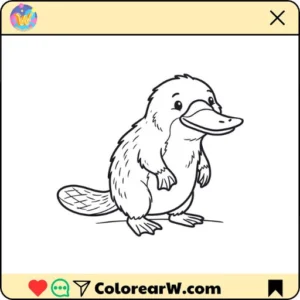 Ornitorrincos 79 Ornitorrincos para colorear thumbnail