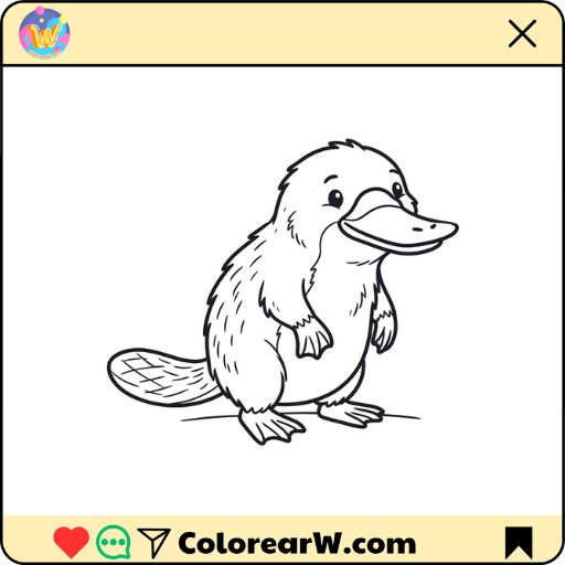 Ornitorrincos para colorear thumbnail