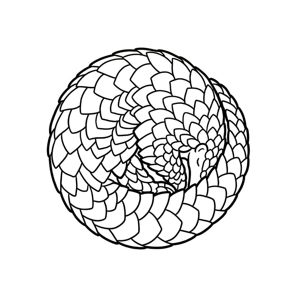 Pangolín 11 Pangolín dibujos para colorear