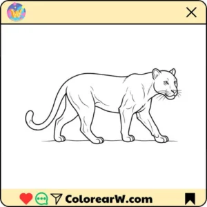 Pantera 13 Pantera para colorear thumbnail