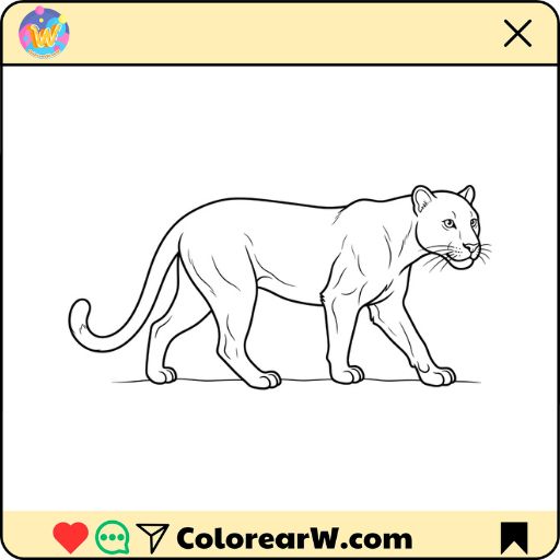 Pantera para colorear thumbnail