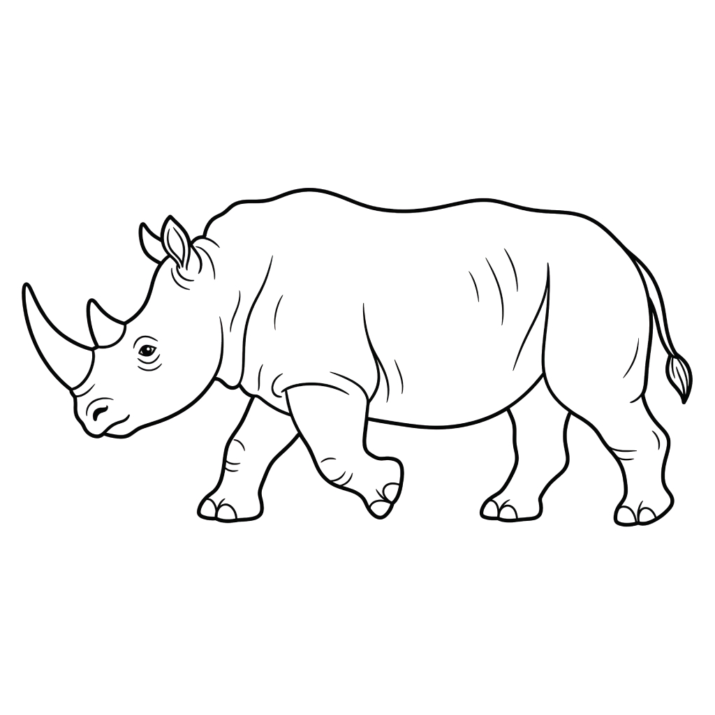 Rinoceronte páginas para colorear gratis