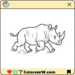 Rinoceronte thumbnail