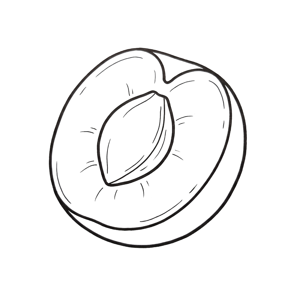 Albaricoque páginas para colorear para adultos fáciles