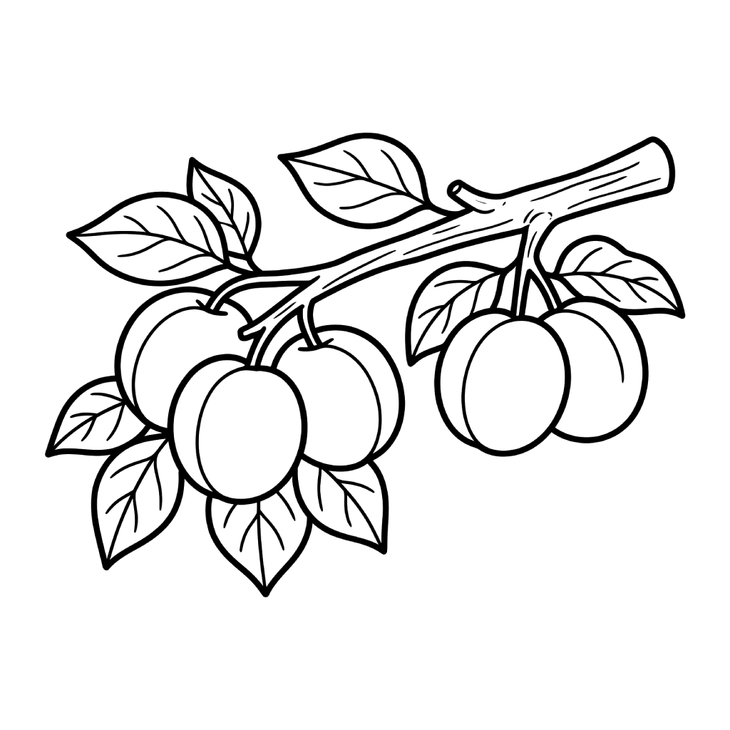 Albaricoque páginas para colorear para imprimir gratis 1