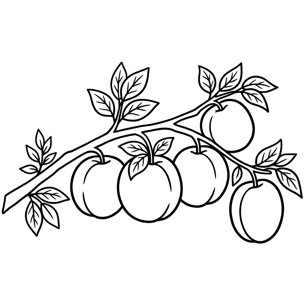 Albaricoque para colorear