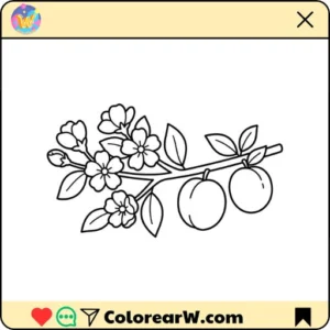 Albaricoque thumbnail