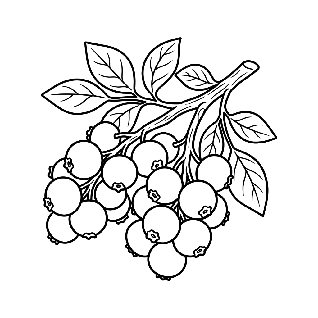 colorear páginas de Arándano