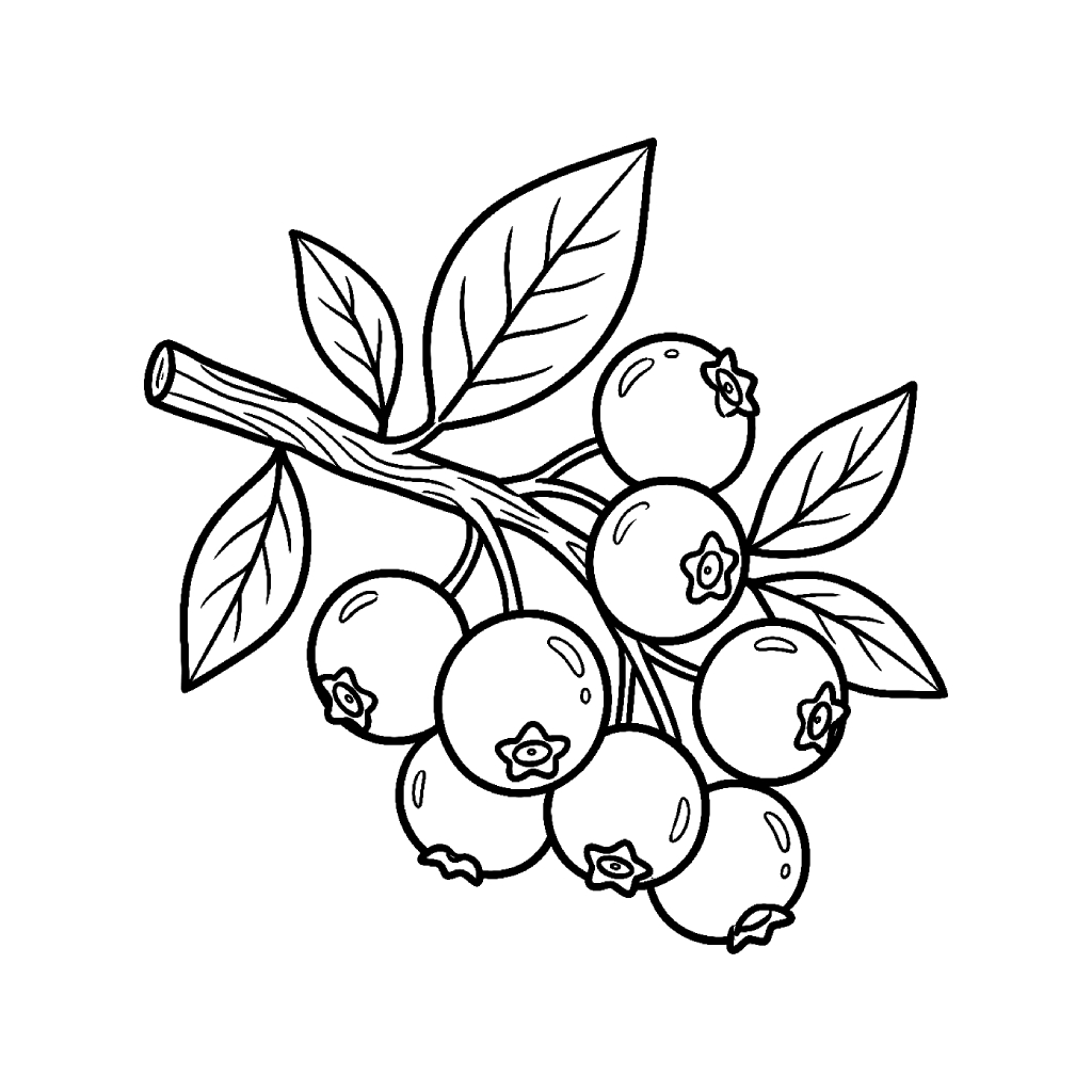 páginas para colorear Arándano gratis