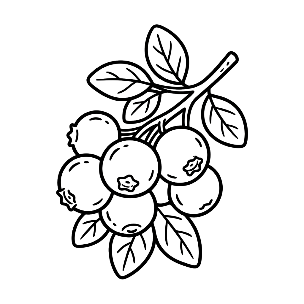 Arándano páginas para colorear para niños