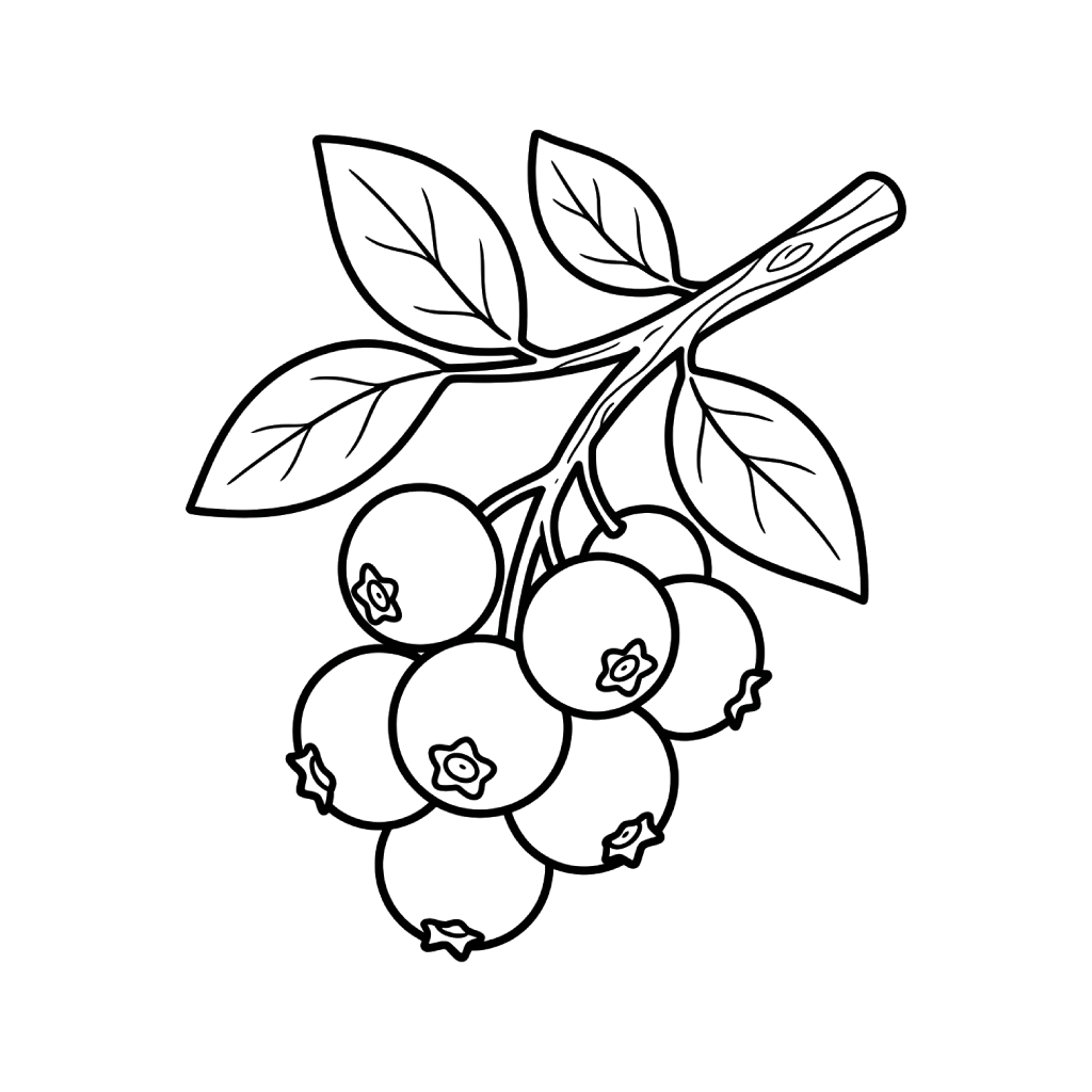 páginas para colorear detalladas de Arándano para adultos