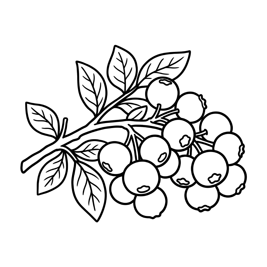 páginas para colorear gratis Arándano