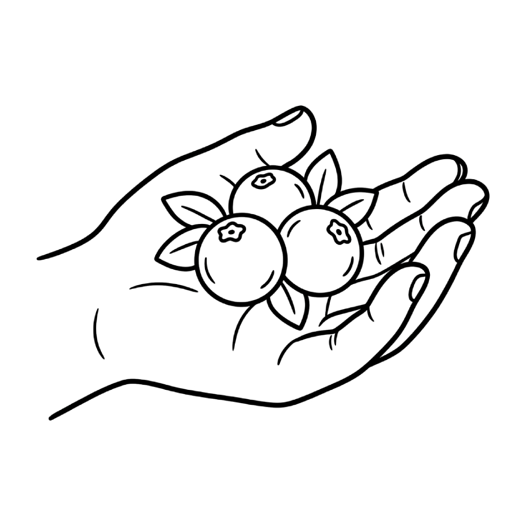 páginas para colorear detalladas de Arándano