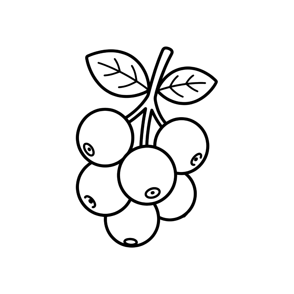 páginas para colorear imprimibles Arándano