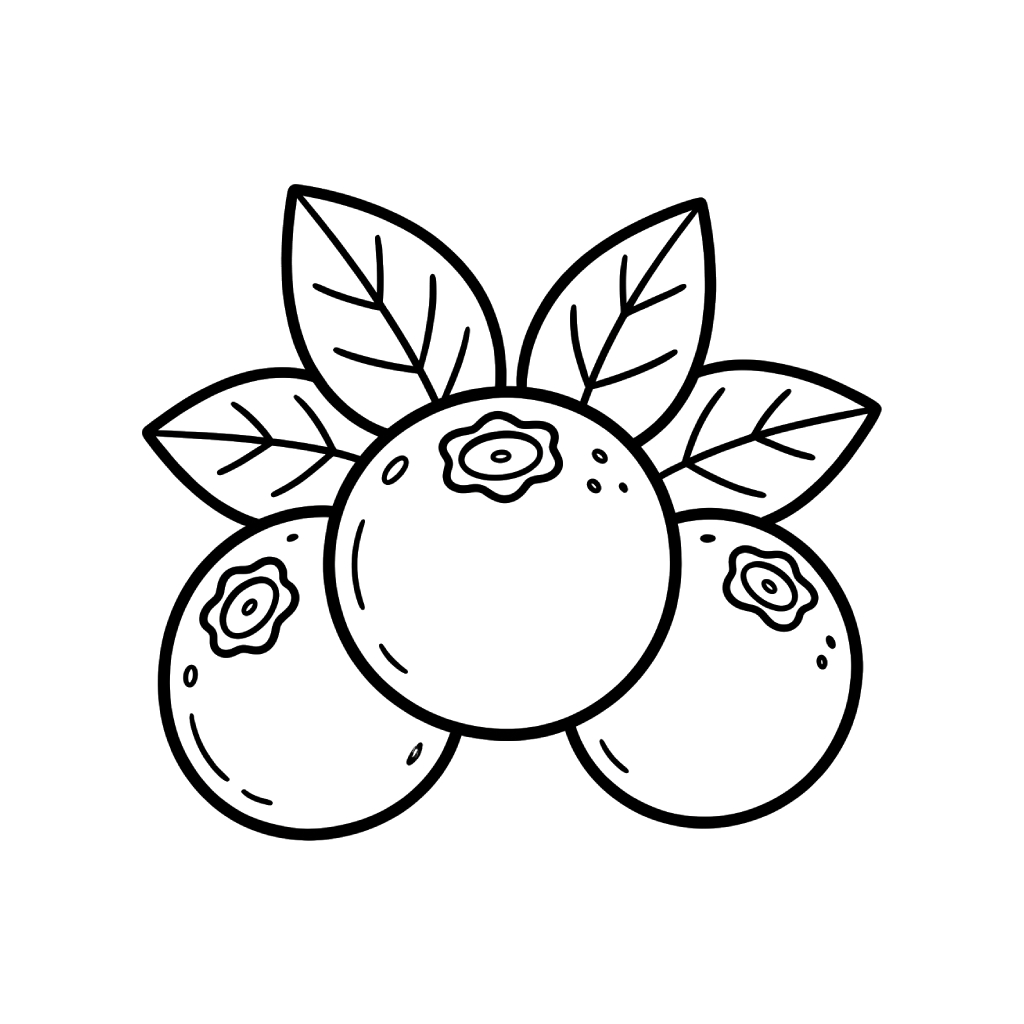 páginas para colorear detalladas de Arándano 1