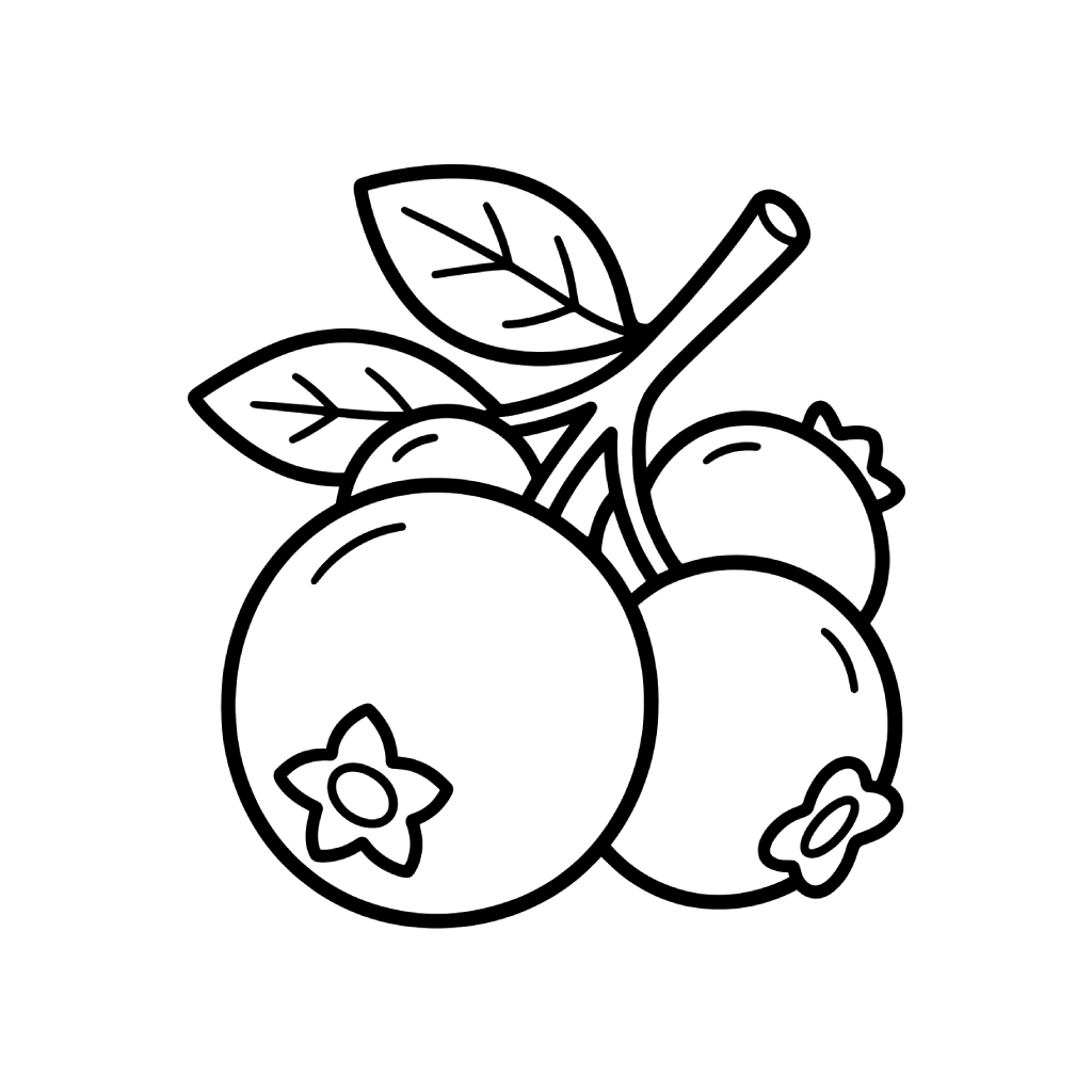 páginas para colorear imprimibles Arándano para adultos