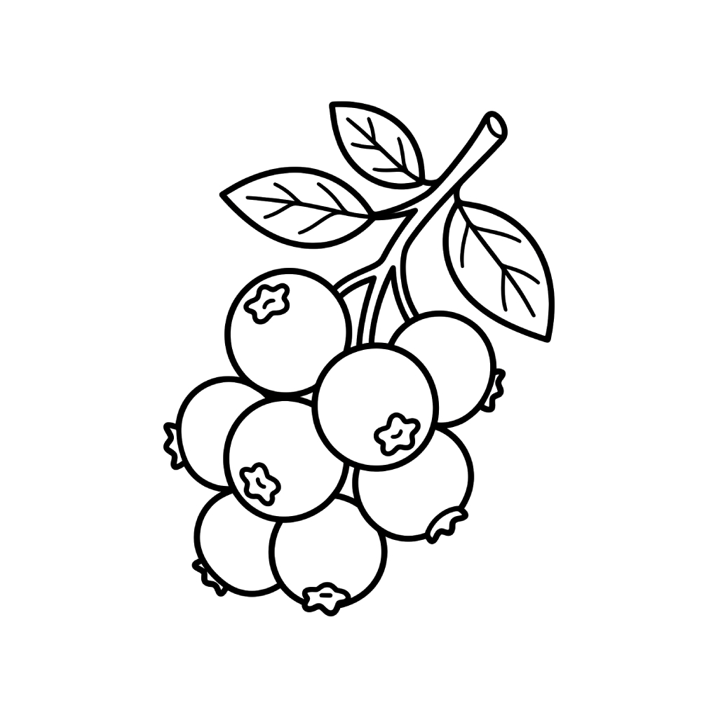 Arándano páginas para colorear para adultos