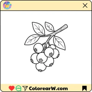 Arándano para colorear thumbnail