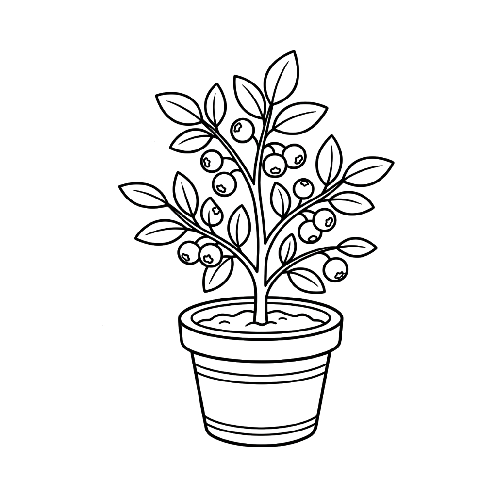 páginas para colorear gratis Arándano pdf