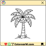 Árbol de Coco thumbnail