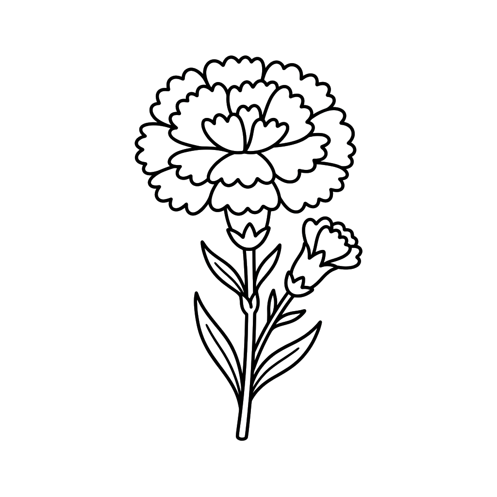 páginas para colorear gratis Clavel