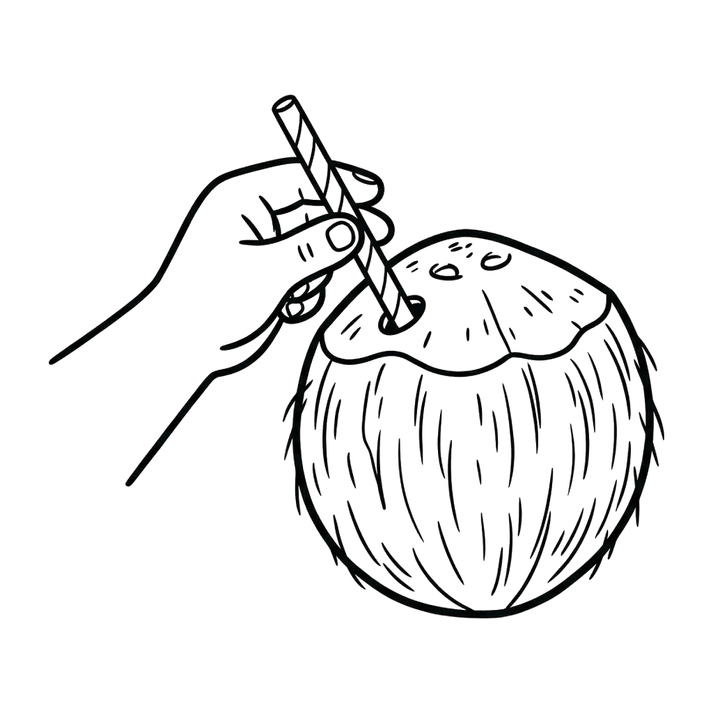 dibujos para colorear Coco