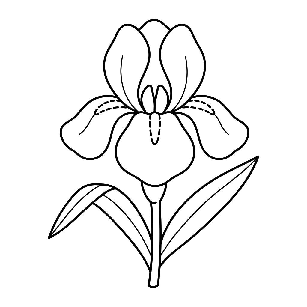 páginas para colorear imprimibles Iris