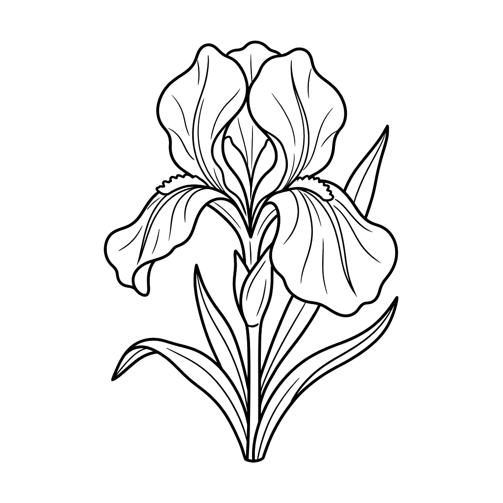 Iris páginas para colorear para adultos 1