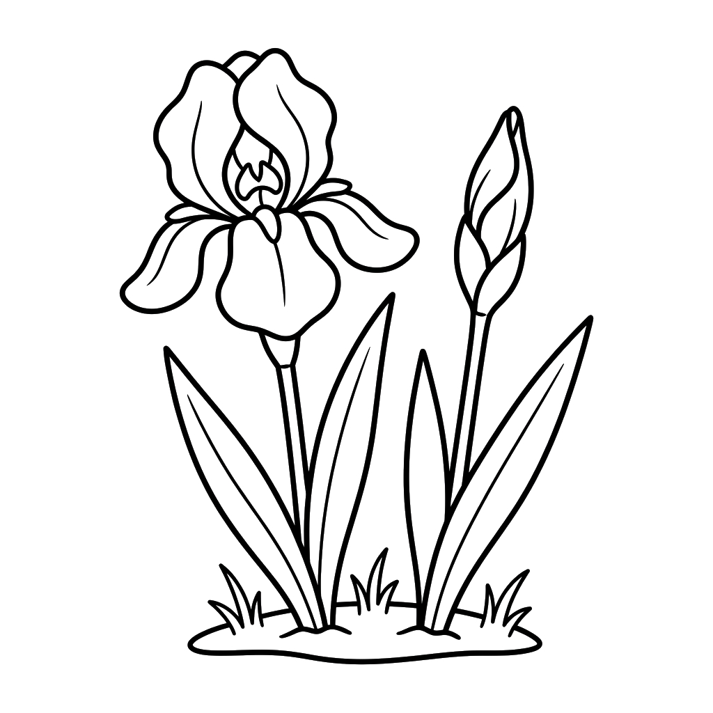 Iris páginas para colorear pdf