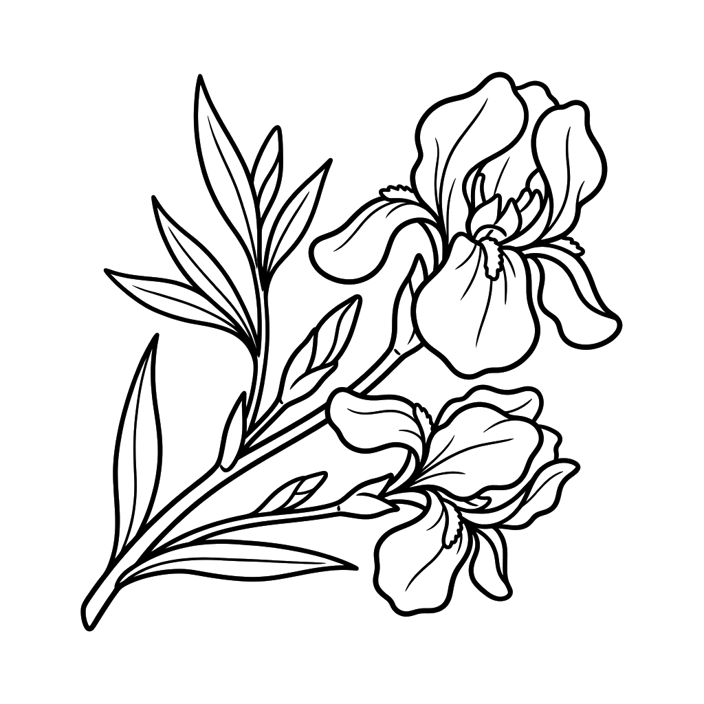 páginas para colorear kawaii lindas Iris