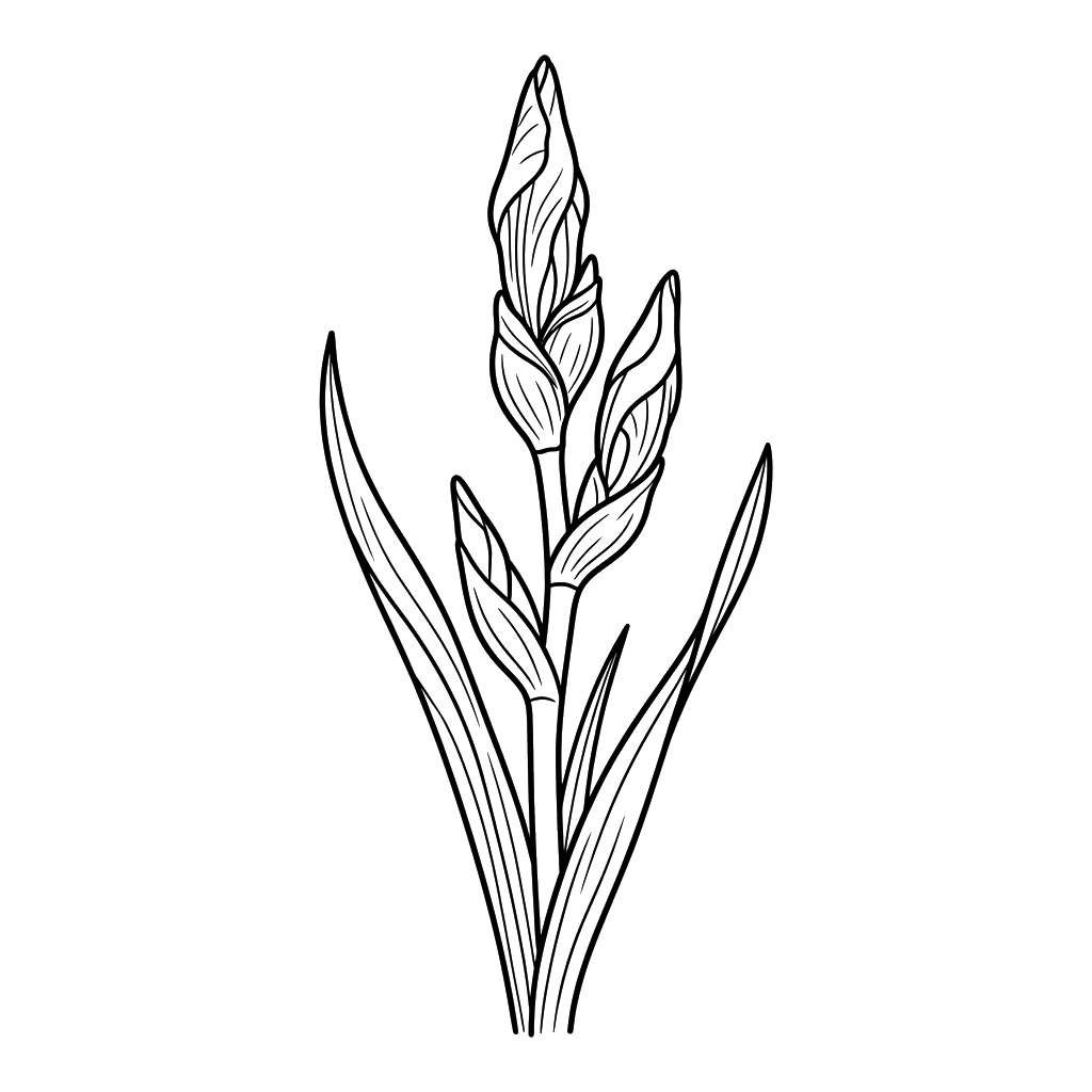 niños Iris páginas para colorear