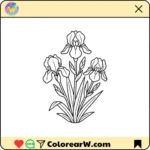 Iris thumbnail