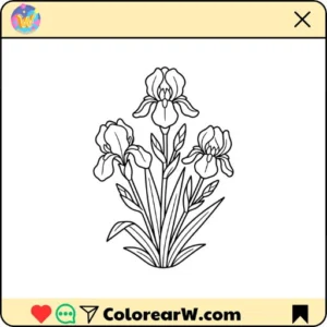 Iris thumbnail