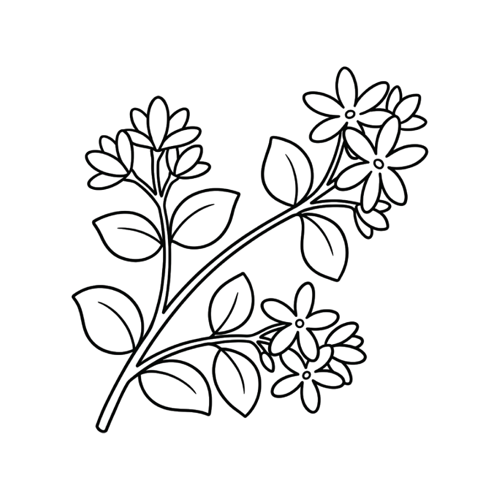 dibujos para colorear grinch Jazmín